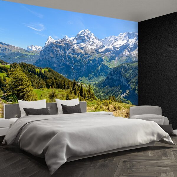 Fototapeta Vliesová Alpy 104x70 cm