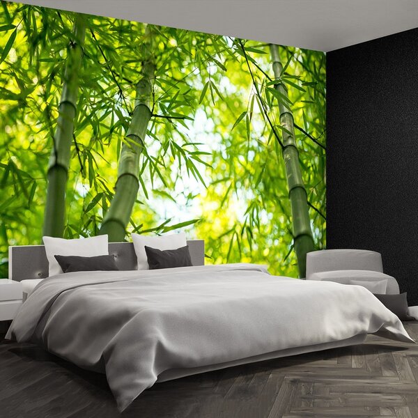 Fototapeta Vliesová Bambusové vetvy 104x70 cm