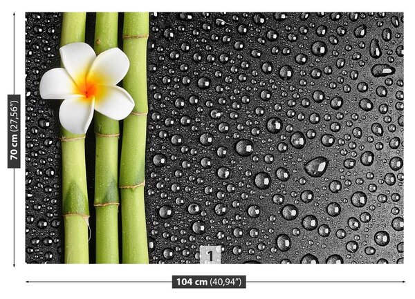 Fototapeta Vliesová Kvet plumérie 104x70 cm