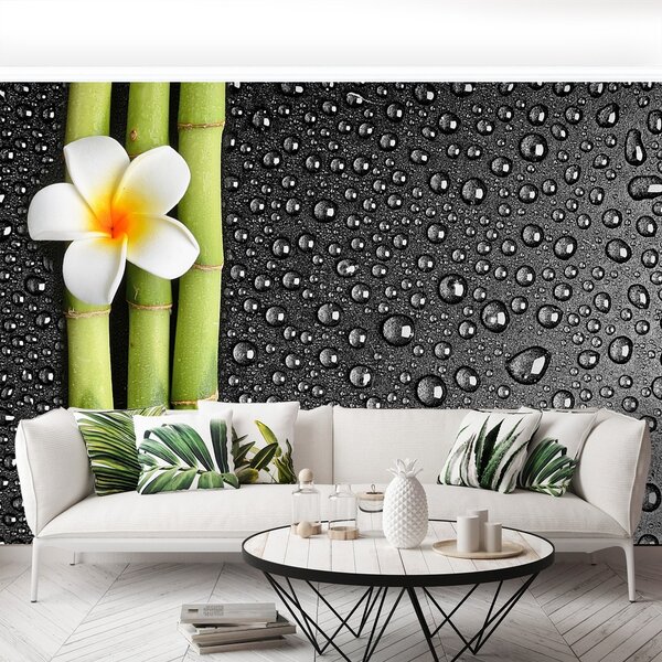 Fototapeta Vliesová Kvet plumérie 104x70 cm