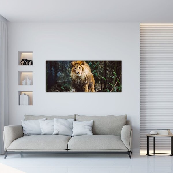 Obraz leva v prírode (120x50 cm)