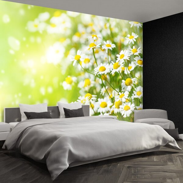 Fototapeta Vliesová Harmanček 152x104 cm