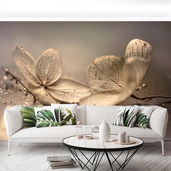 Fototapeta Vliesová Béžová hortenzie 152x104 cm