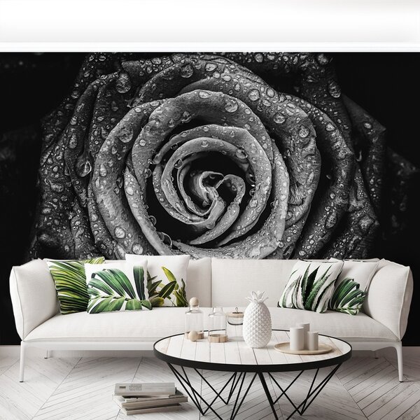 Fototapeta Vliesová Ruža čierna 152x104 cm