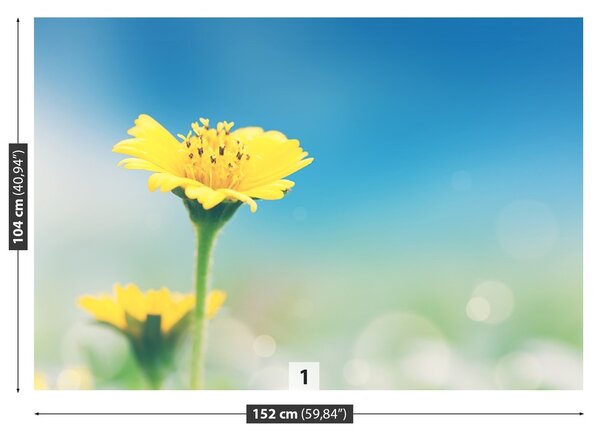 Fototapeta Vliesová Žltá púpava 152x104 cm