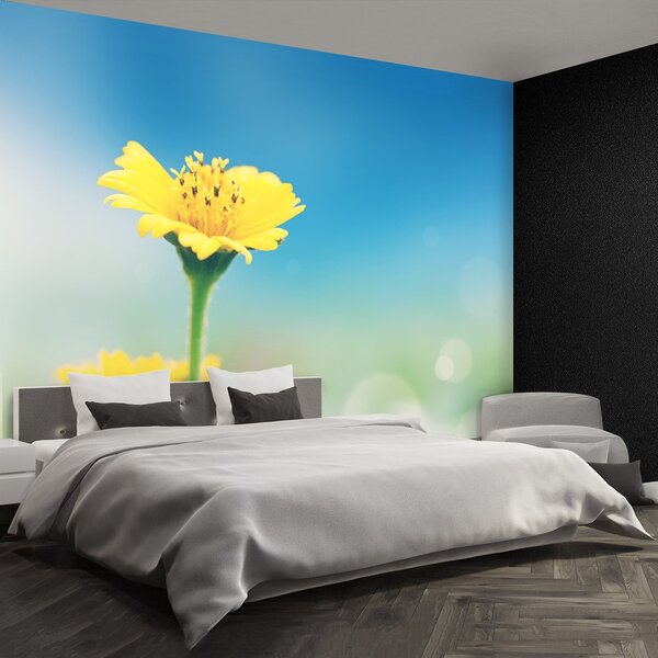 Fototapeta Vliesová Žltá púpava 152x104 cm