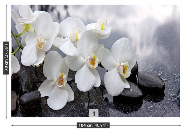 Fototapeta Vliesová Orchidea kamene 104x70 cm
