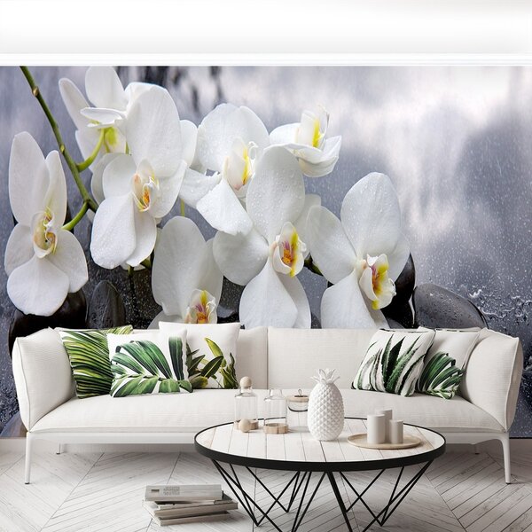 Fototapeta Vliesová Orchidea kamene 104x70 cm