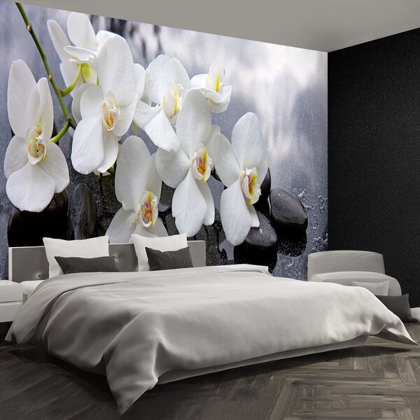 Fototapeta Vliesová Orchidea kamene 104x70 cm