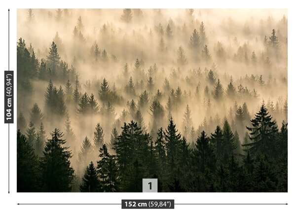 Fototapeta Vliesová Les hmla 152x104 cm