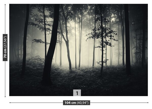 Fototapeta Vliesová Les hmla 104x70 cm