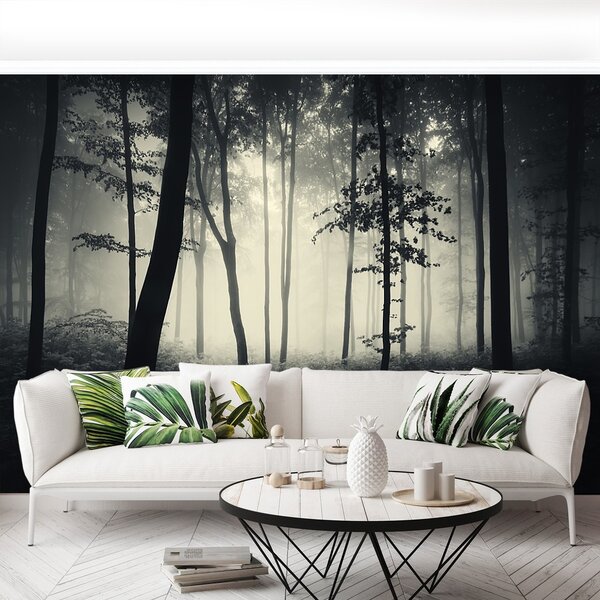 Fototapeta Vliesová Les hmla 104x70 cm