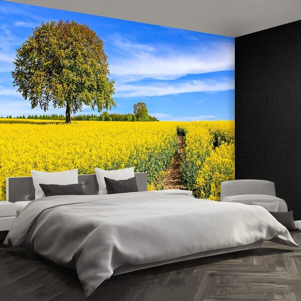 Fototapeta Vliesová Žlté kvety 250x104 cm