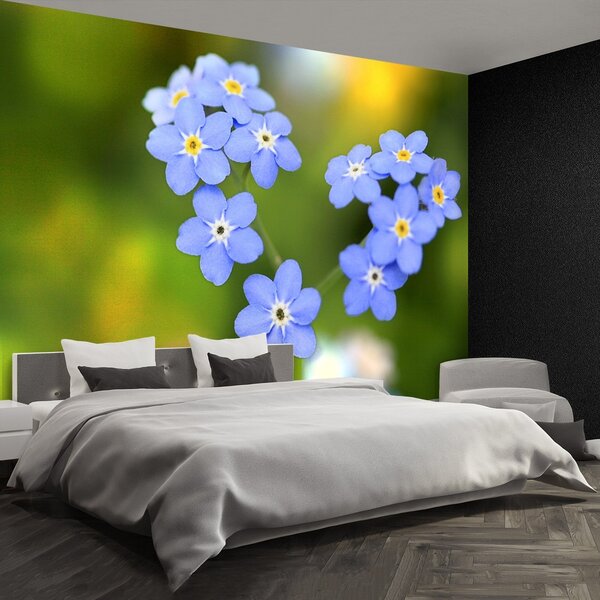Fototapeta Vliesová Frangipani wood 152x104 cm