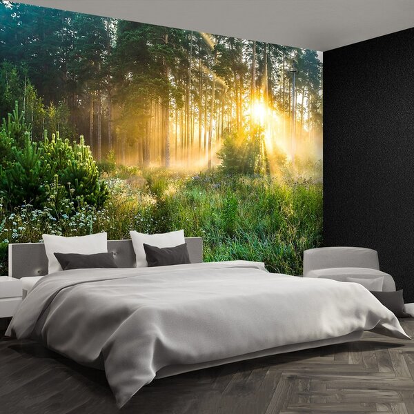 Fototapeta Vliesová Les 152x104 cm