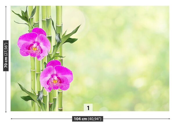 Fototapeta Vliesová Orchidea a bambus 104x70 cm