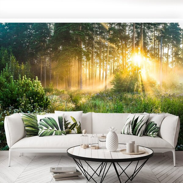 Fototapeta Vliesová Les 152x104 cm