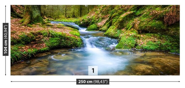 Fototapeta Vliesová Lesný potok 250x104 cm