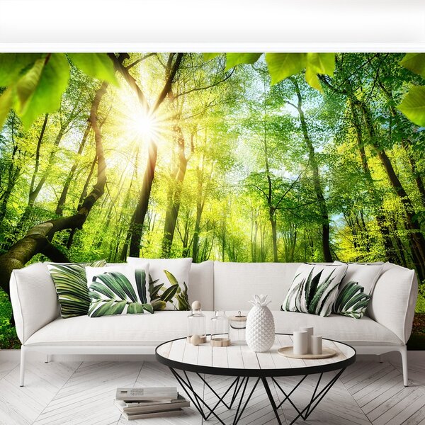 Fototapeta Vliesová Buk lesný 104x70 cm