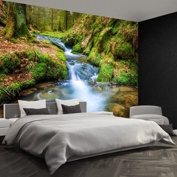 Fototapeta Vliesová Lesný potok 250x104 cm