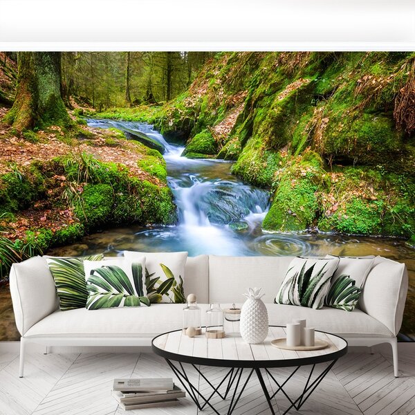 Fototapeta Vliesová Lesný potok 250x104 cm