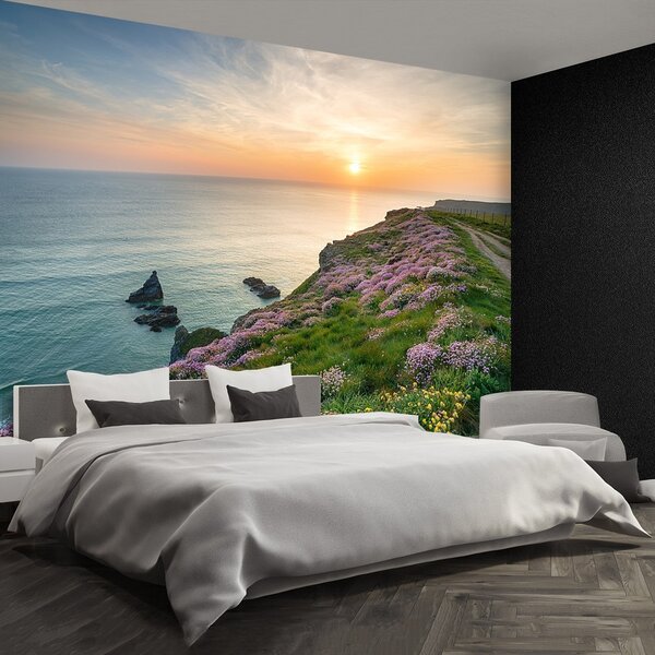 Fototapeta Vliesová Pobrežie cornwallu 250x104 cm