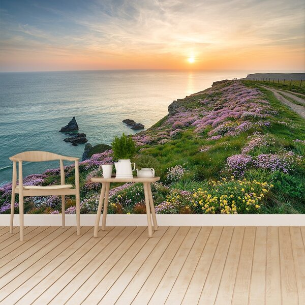 Fototapeta Vliesová Pobrežie cornwallu 250x104 cm