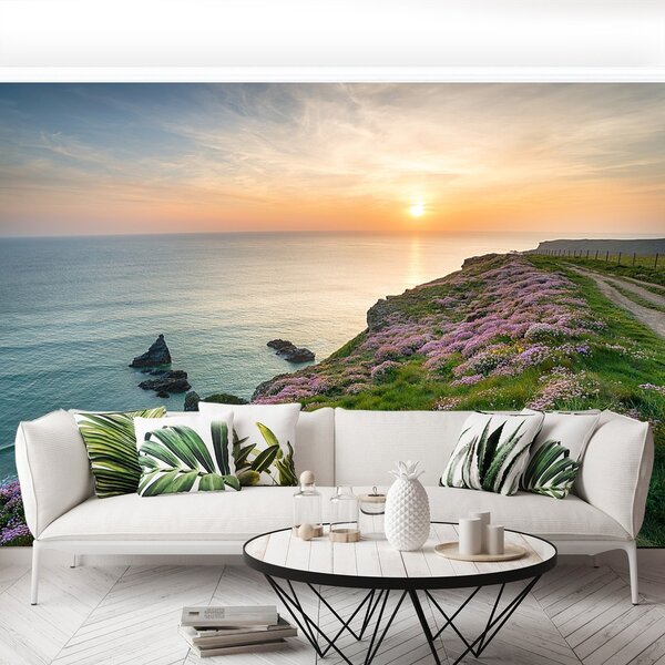 Fototapeta Vliesová Pobrežie cornwallu 250x104 cm