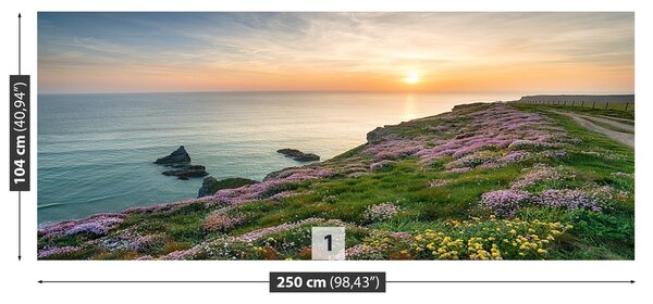 Fototapeta Vliesová Pobrežie cornwallu 250x104 cm