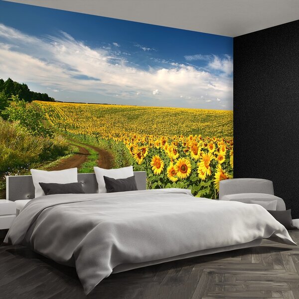 Fototapeta Vliesová Pole slnečníc 250x104 cm