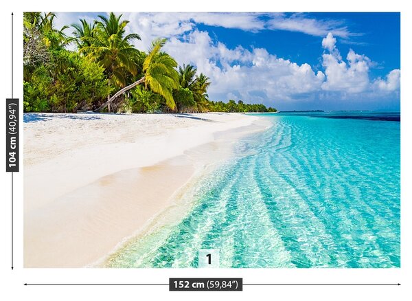 Fototapeta Vliesová Palm beach 152x104 cm