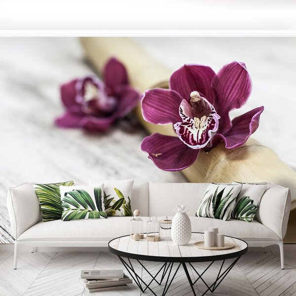 Fototapeta Vliesová Orchideovej drevo 250x104 cm
