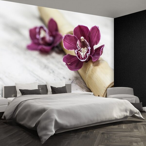Fototapeta Vliesová Orchideovej drevo 250x104 cm