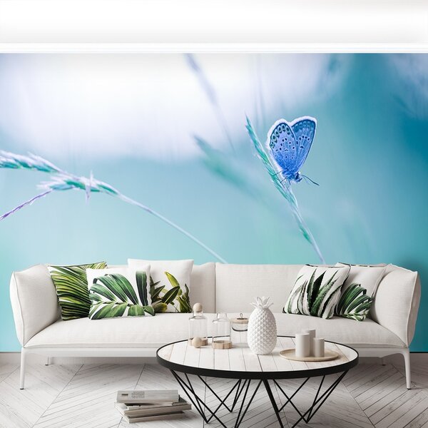 Fototapeta Vliesová Motýlie tráva 250x104 cm