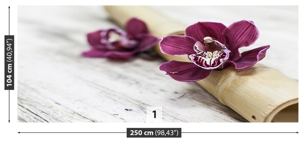 Fototapeta Vliesová Orchideovej drevo 250x104 cm