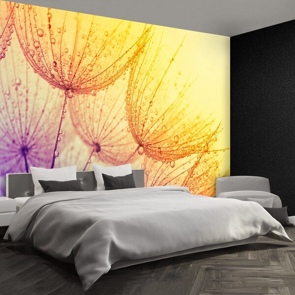 Fototapeta Vliesová Púpava slnka. 152x104 cm