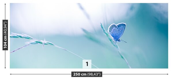 Fototapeta Vliesová Motýlie tráva 250x104 cm