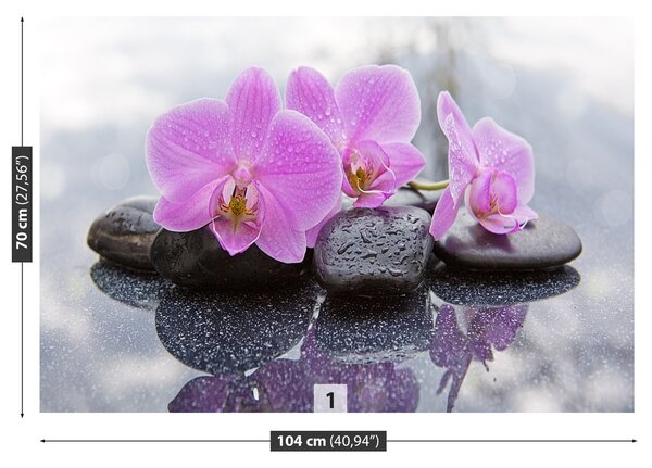 Fototapeta Vliesová Orchidea kamene 104x70 cm