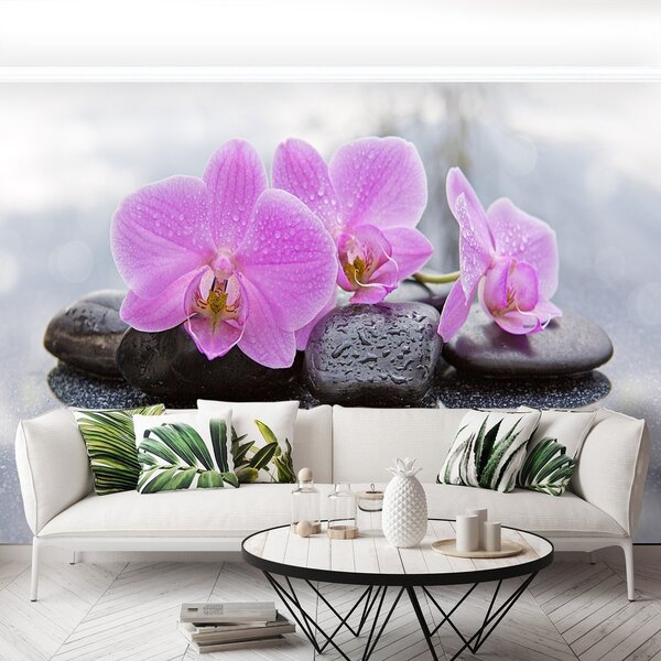 Fototapeta Vliesová Orchidea kamene 104x70 cm