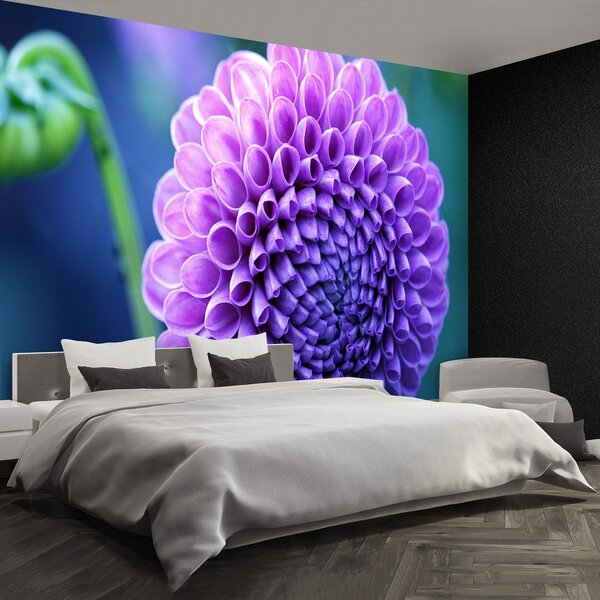 Fototapeta Vliesová Fialová dahlia 104x70 cm