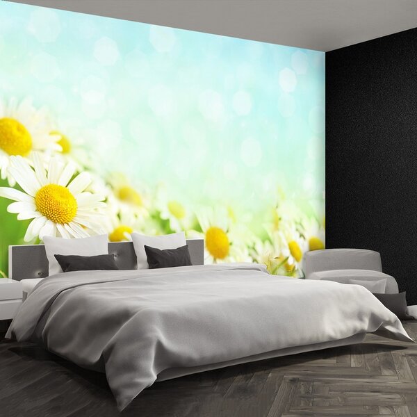 Fototapeta Vliesová Modrý harmančekový 104x70 cm