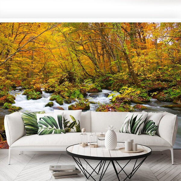 Fototapeta Vliesová Rieka v japonsku 152x104 cm