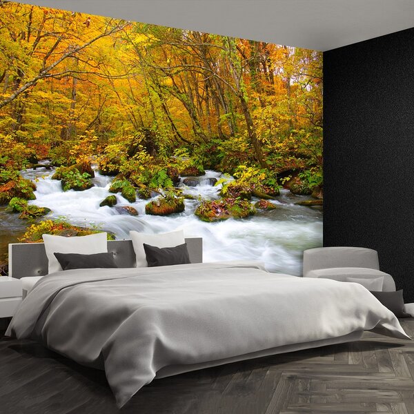 Fototapeta Vliesová Rieka v japonsku 152x104 cm