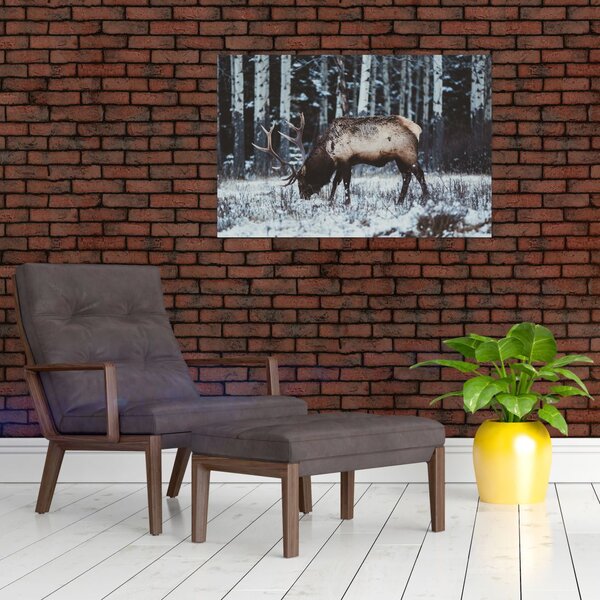 Obraz - jeleň v zime (90x60 cm)