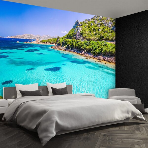 Fototapeta Vliesová Sardínia mora 104x70 cm