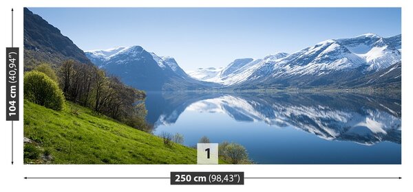 Fototapeta Vliesová Fjord v nórsku 250x104 cm