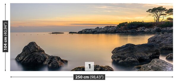 Fototapeta Vliesová Bandol 250x104 cm