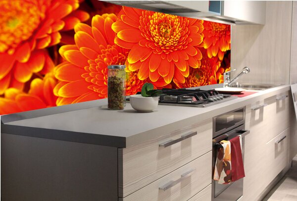 DIMEX | Fototapeta do kuchyne Gerbery KI-180-059 | 180 x 60 cm | červená, oranžová