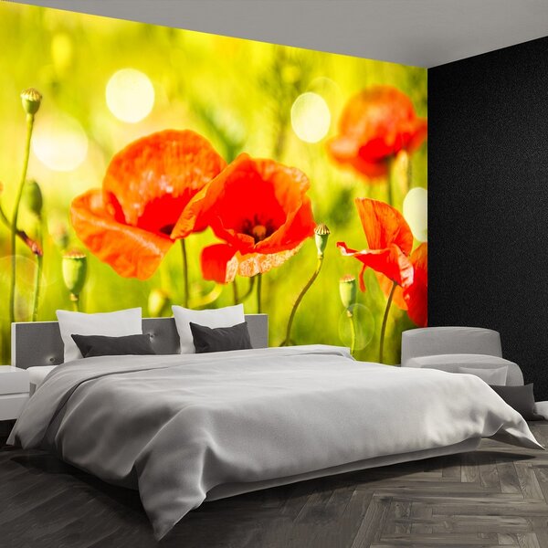 Fototapeta Vliesová Lúka maku 104x70 cm