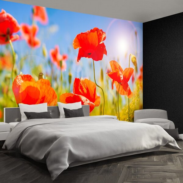Fototapeta Vliesová Červené vlčie maky 104x70 cm